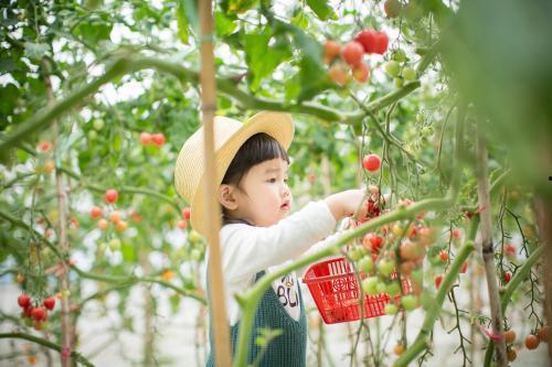 网红达人的童年,网红达人那些年的点点滴滴
